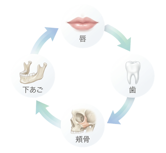 唇歯輔車の循環図